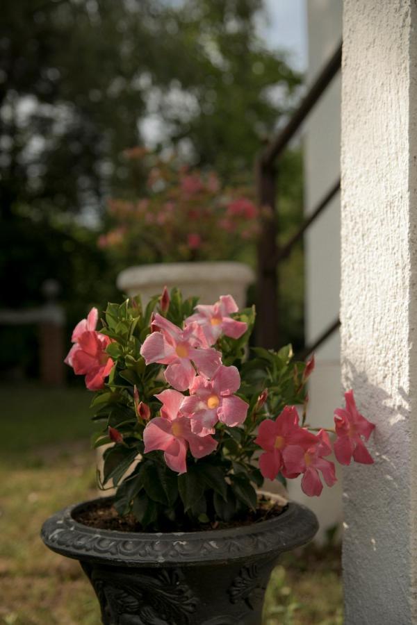 La Villa Del Barone Predaia 외부 사진